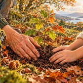 Spending time in nature can help us feel part of something greater than ourselves. Beneath the trees or beside the water, we can pause, breathe and reconnect with a sense of wonder.