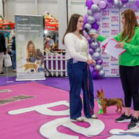 Mohill puppy Rua represents Leitrim at national grand final