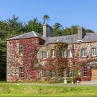 Newport House auction in Mayo: The 10 items that fetched the highest prices