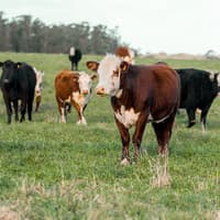 €12 million in payments to Leitrim farmers this week