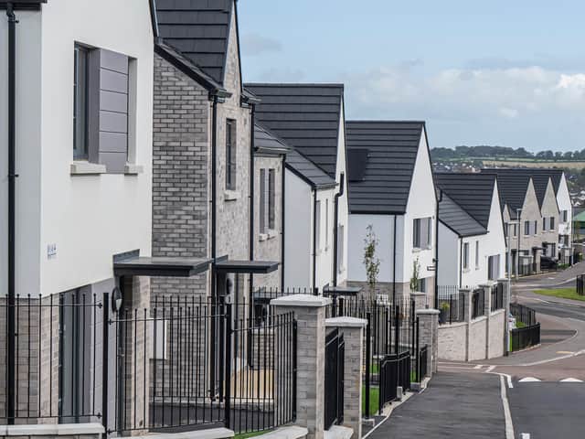 The new streetscape at Maple Glen, the first neighbourhood in The Cashel development – made possible by a £73 million investment from the Department for Communities and Apex Housing Association.
