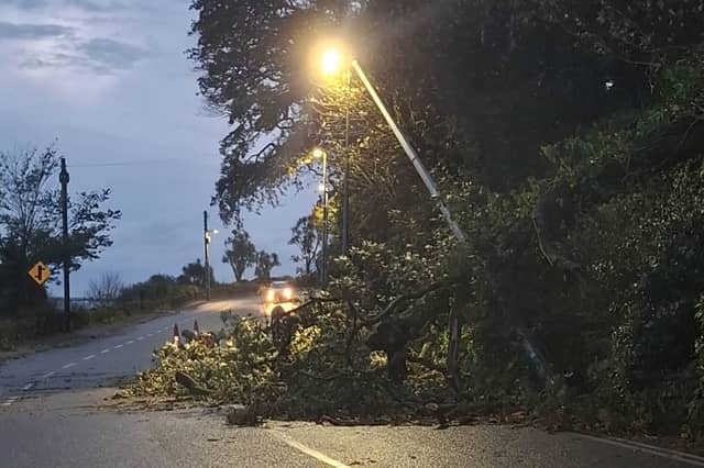 A tree has fallen onto a streetlight in Dunmore East