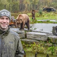 Wild Ireland ‘achieved the impossible’ through five-year rescue