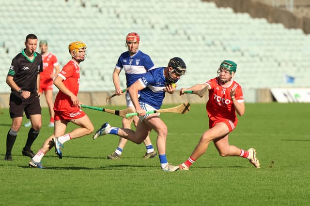 Action from the Premier Intermediate Hurling Championship final between Dromin-Athlacca and Bruff