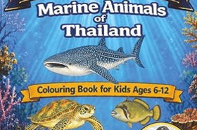 Marine Animals of Thailand A Colouring Book for Kids Ages 6 to 12 Ocean Explorer Series