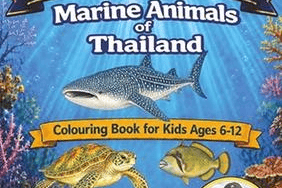 Marine Animals of Thailand A Colouring Book for Kids Ages 6 to 12 Ocean Explorer Series