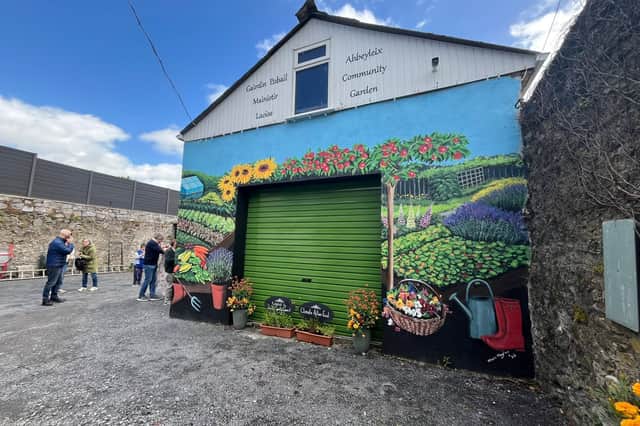 The entrance to Abbeyleix Community Garden, with a mural by Laois artist Marie Moylan.