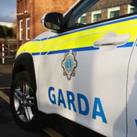 Woman awoken by burglars making noise in Limerick home