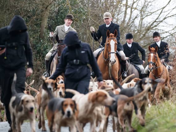 A hunt with foxhounds taking place