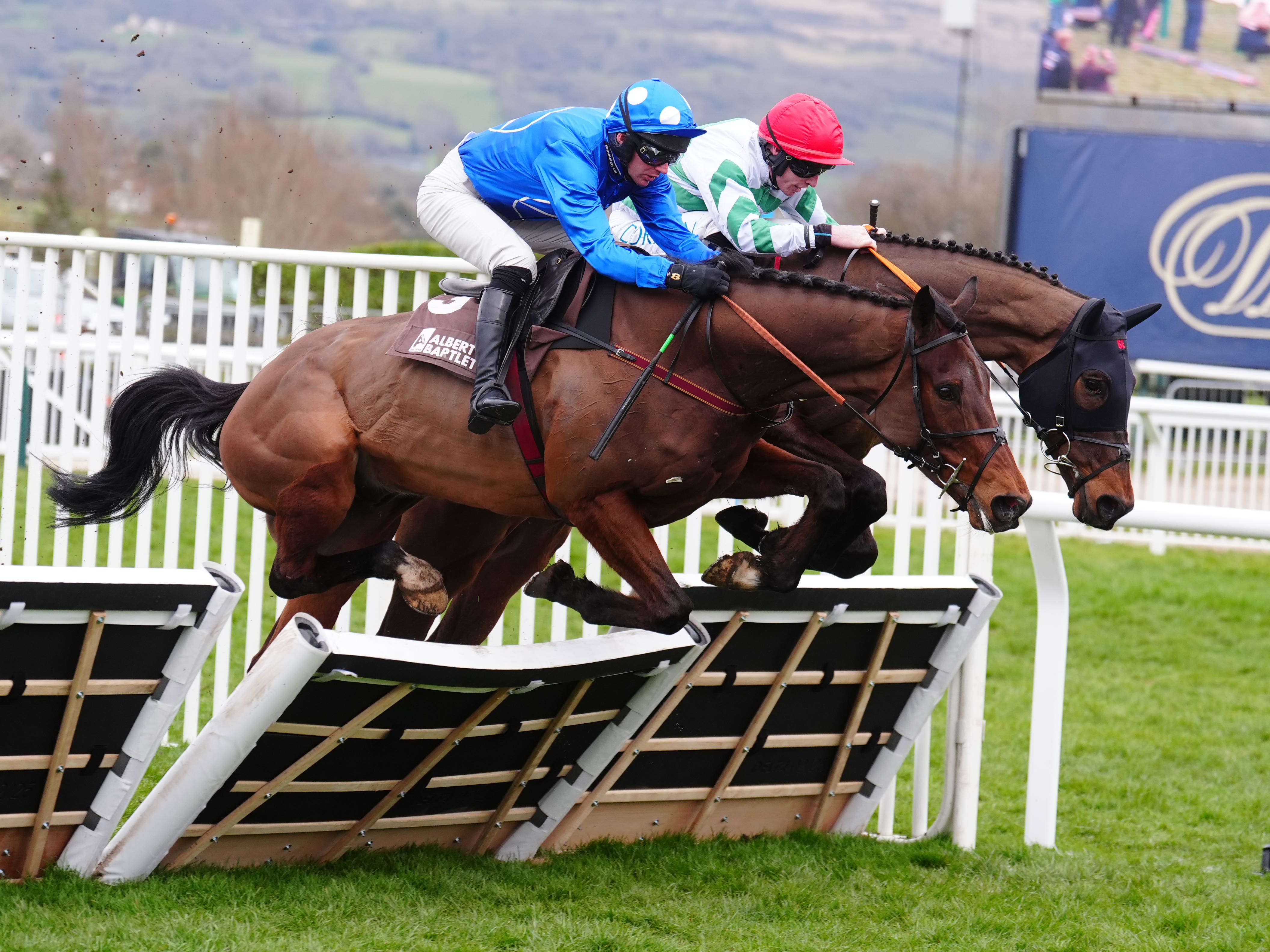 Derryhassen Paddy has chance to showcase his ability at Cheltenham