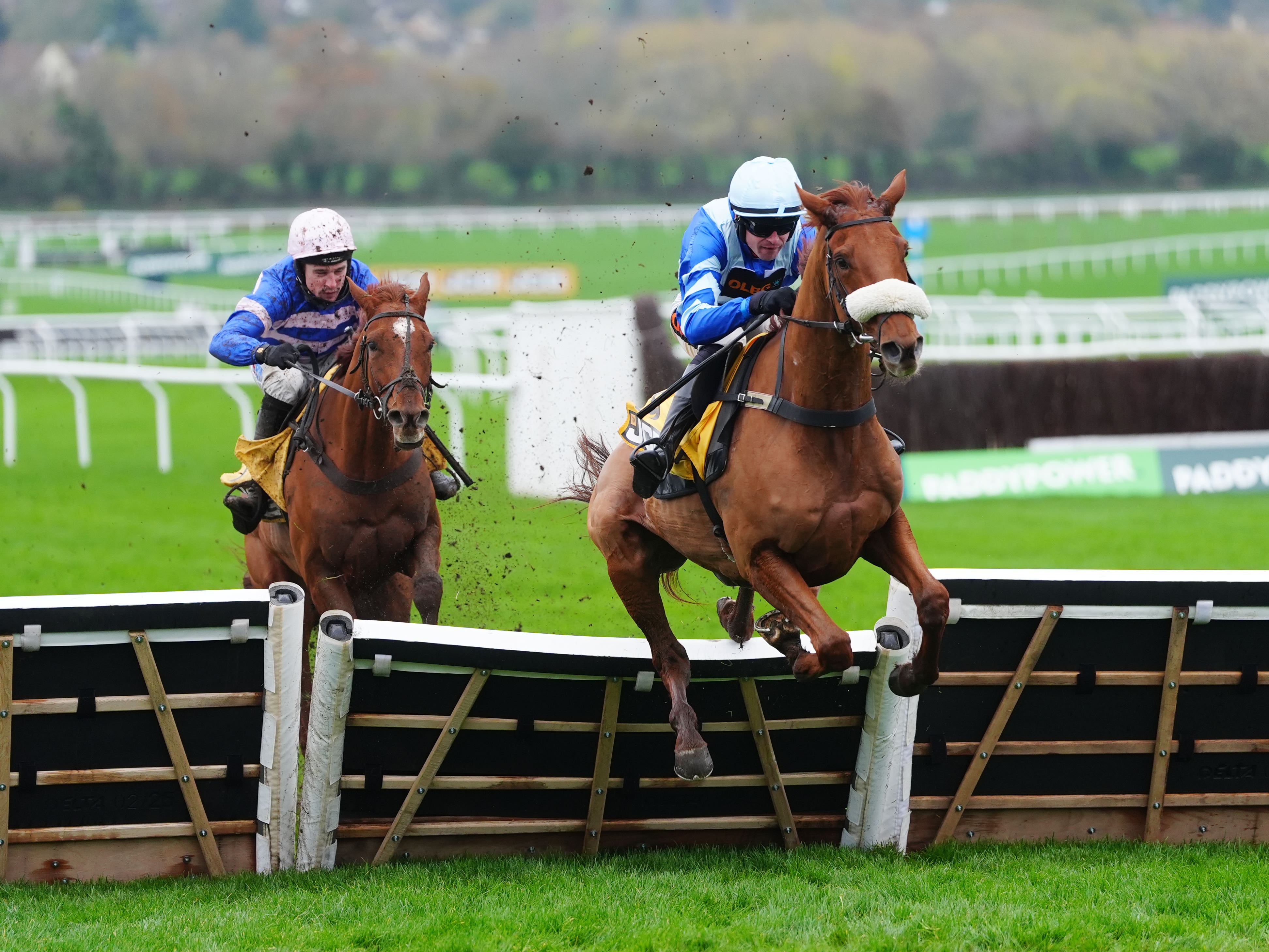 Derham backing One Horse Town to make immediate Cheltenham impact