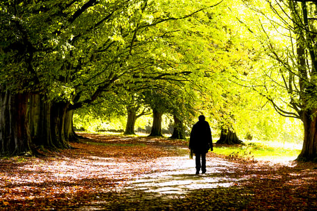 The charity believes nature can help alleviate mental health issues (Peter Byrne/PA)