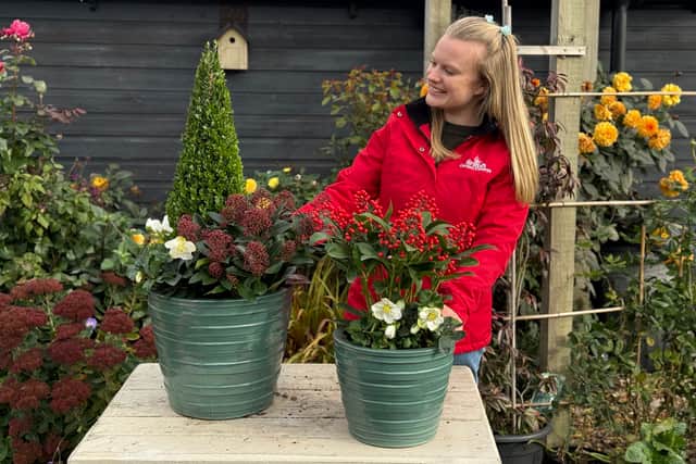 (British Garden Centres/PA)