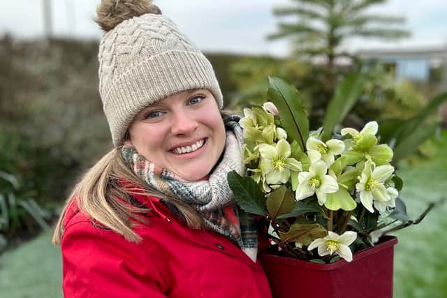 (British Garden Centres/PA)
