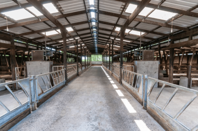 Inside empty farm shed stock image