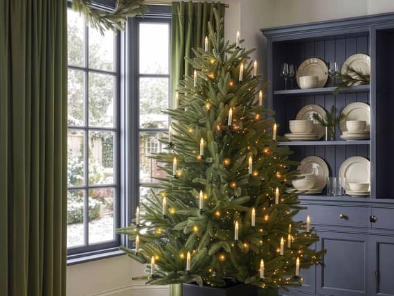 Evergreen Pre-Lit Fir Christmas Tree 7ft, Dibor