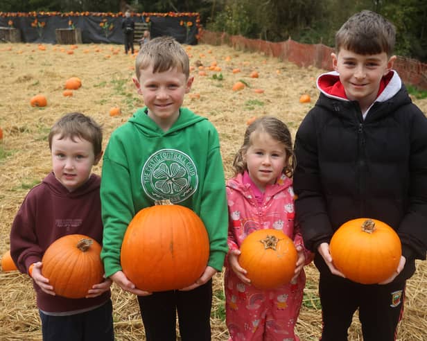 Liam, Andy and Kate Ann Reilly enjoying the Curraghchase Pumpkin Patch 2026 PICTURE:BRENDAN GLEESON