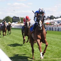 Defiantly at risk of missing Melbourne Cup