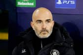 Enzo Maresca in the dugout
