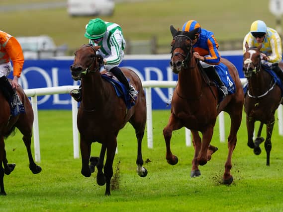 Green Empress and Dylan Browne McMonagle win at the Curragh