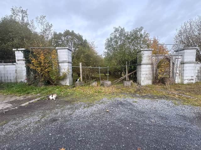 Carriglas in its current state