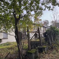 Council served Longford's Glennon Brothers with notice to protect Carrigglas