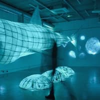 Life-sized basking shark sculpture to take centre stage at Achill festival