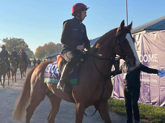 Benvenuto Cellini is the choice of Ryan Moore in the Turf