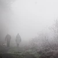 Yellow fog warning in place across parts of England and Wales