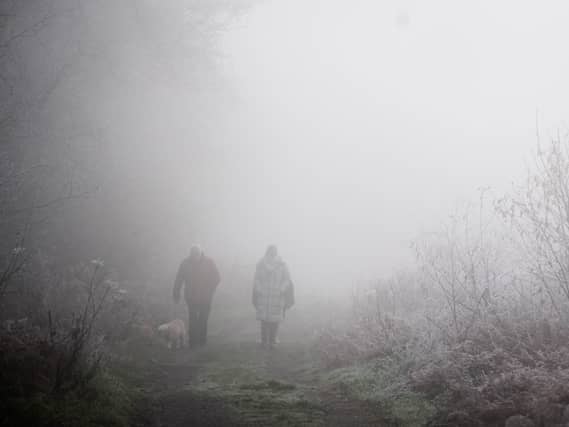 Yellow fog warning