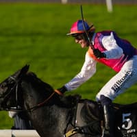 Haiti Couleurs shines from the front at Down Royal