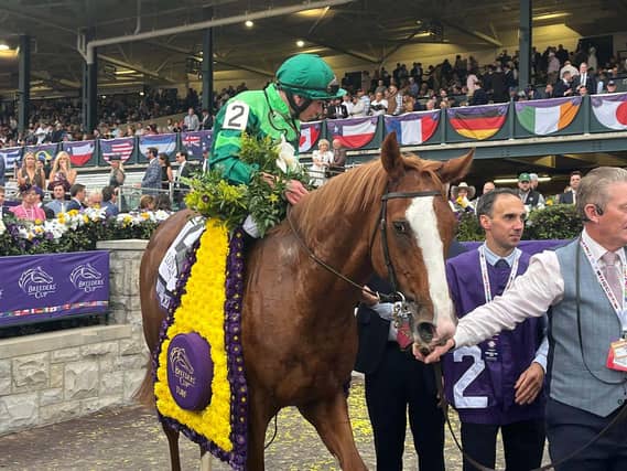 Benvenuto Cellini is a Stateside champion