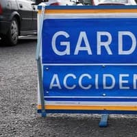 Male pedestrian dies after being struck by car in County Kilkenny