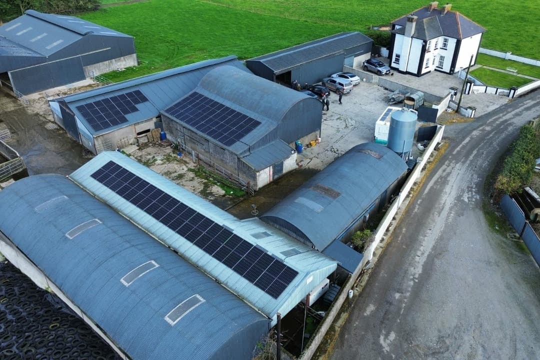 Solar Atill The Irish dairy farmer cutting farm electricity costs with solar and ...