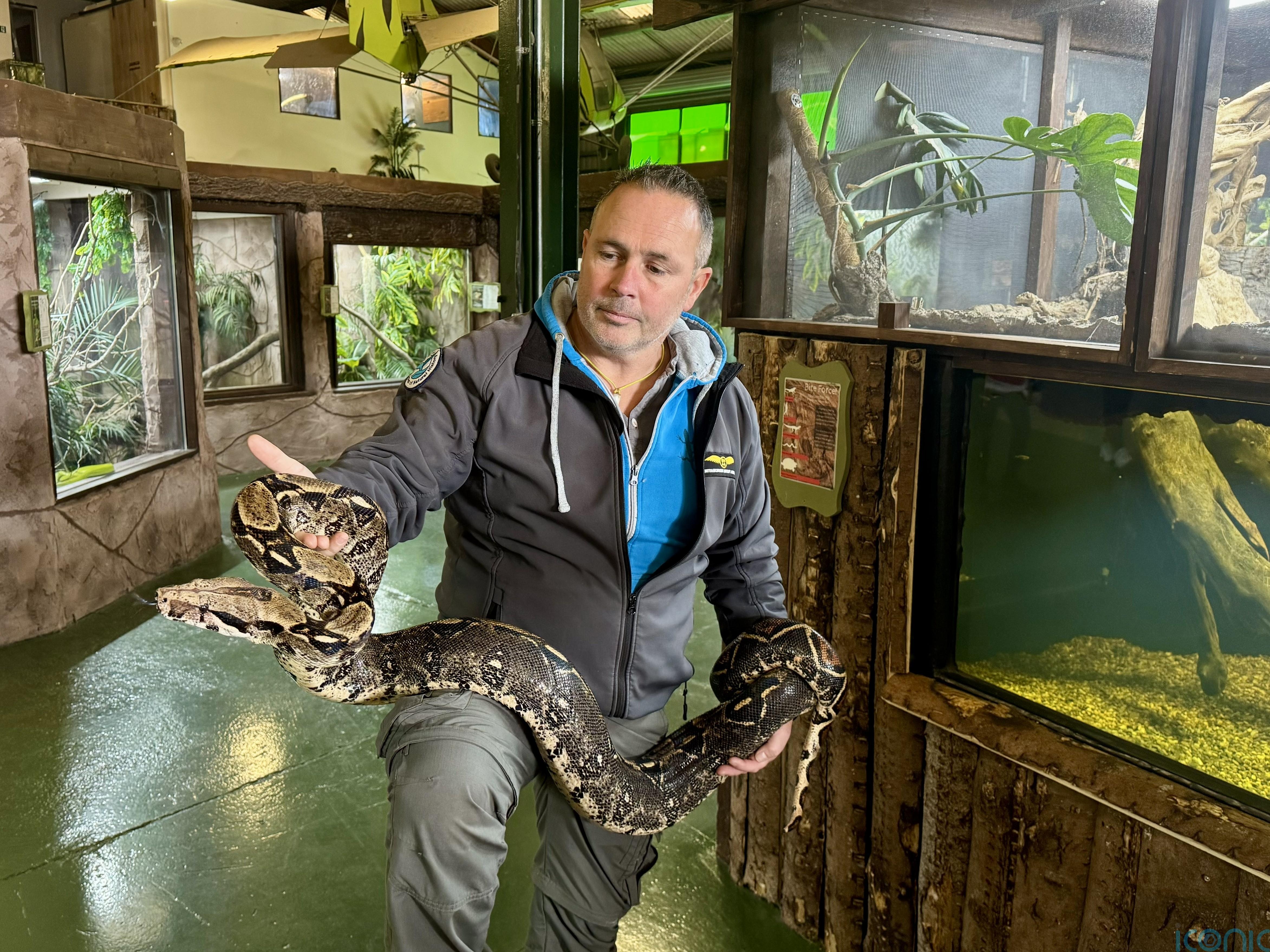 Kilkenny reptile expert warns over ‘surprising’ lack of regulation on exotic pets