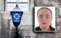Urgent search appeal launched for missing teen girl as garda&iacute; 'concerned' for wellbeing