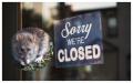 'No excuse' - Rat infestations found as four food businesses forced to close in January