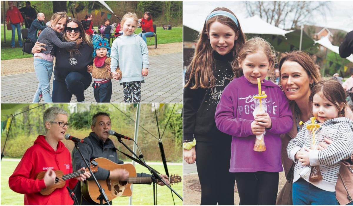 BIG PICTURE GALLERY Tullamore Town Park alive with the sound of music