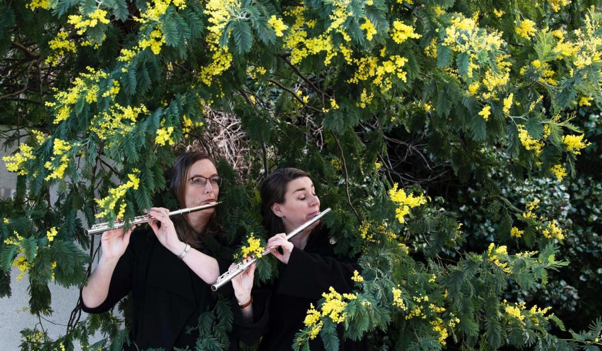 Booking now open for innovative Clonmel classical music festival Ireland Live