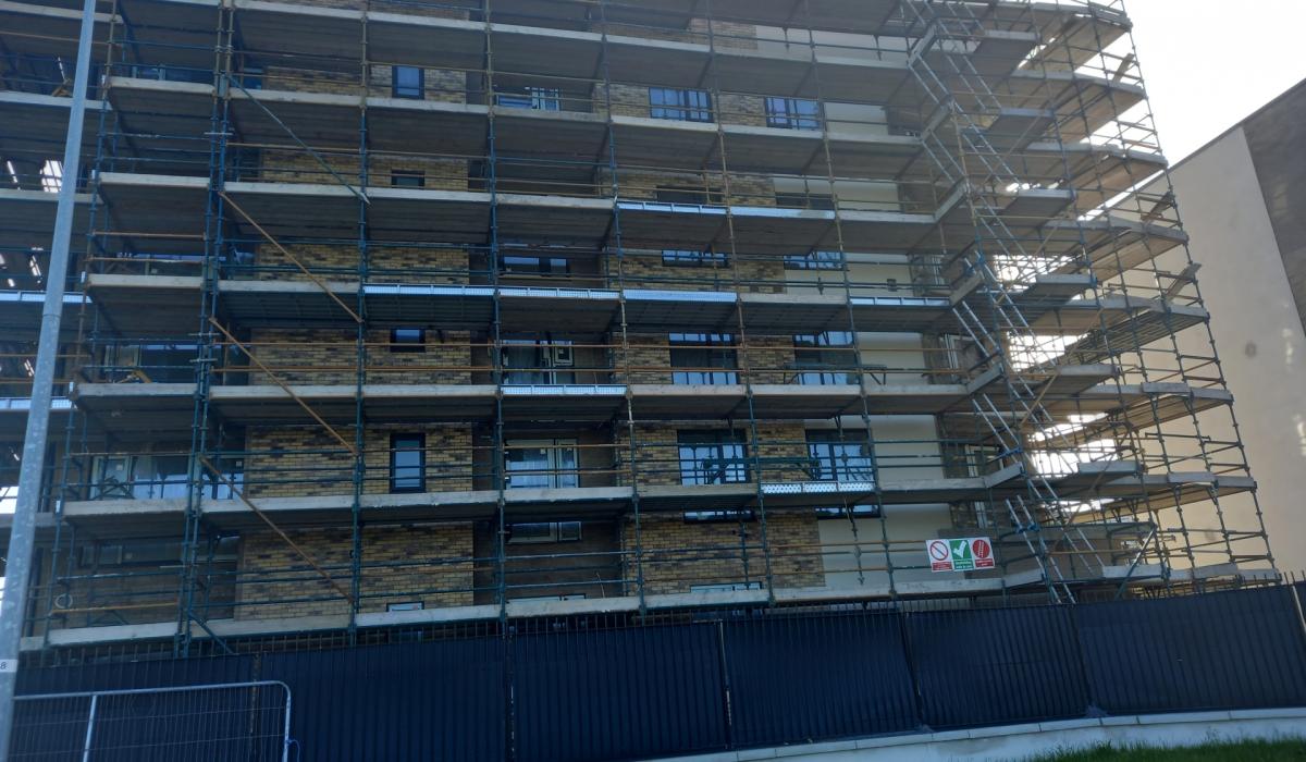 KILDARE Social housing tenants should be allowed to have pets