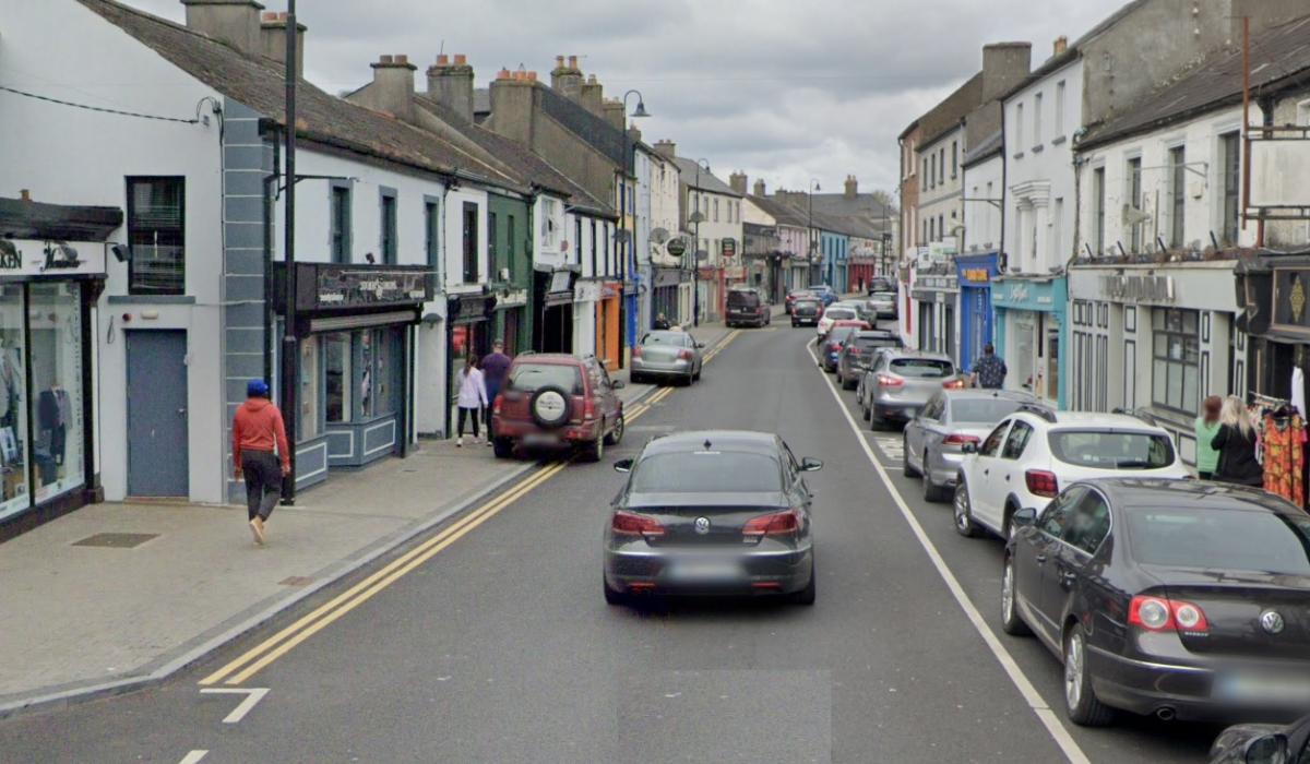 €651,500 for Portarlington road that 'will never be built' Ireland Live