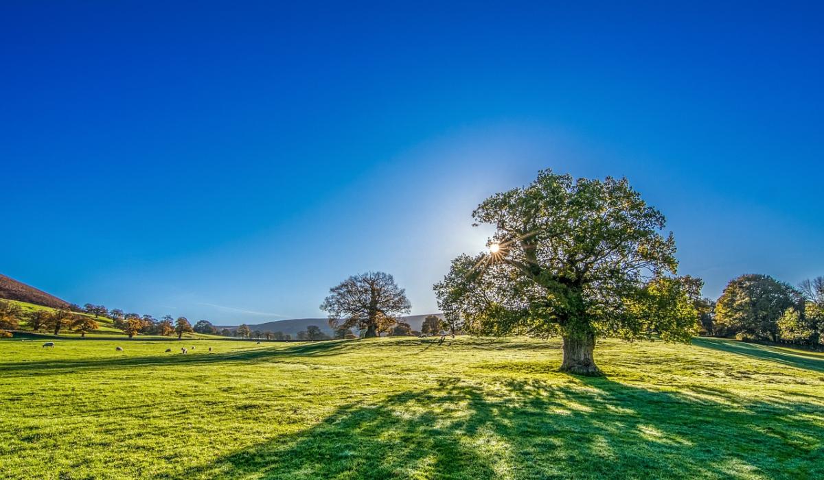 CARLOW WEATHER Very warm and humid with hazy sunshine Ireland Live