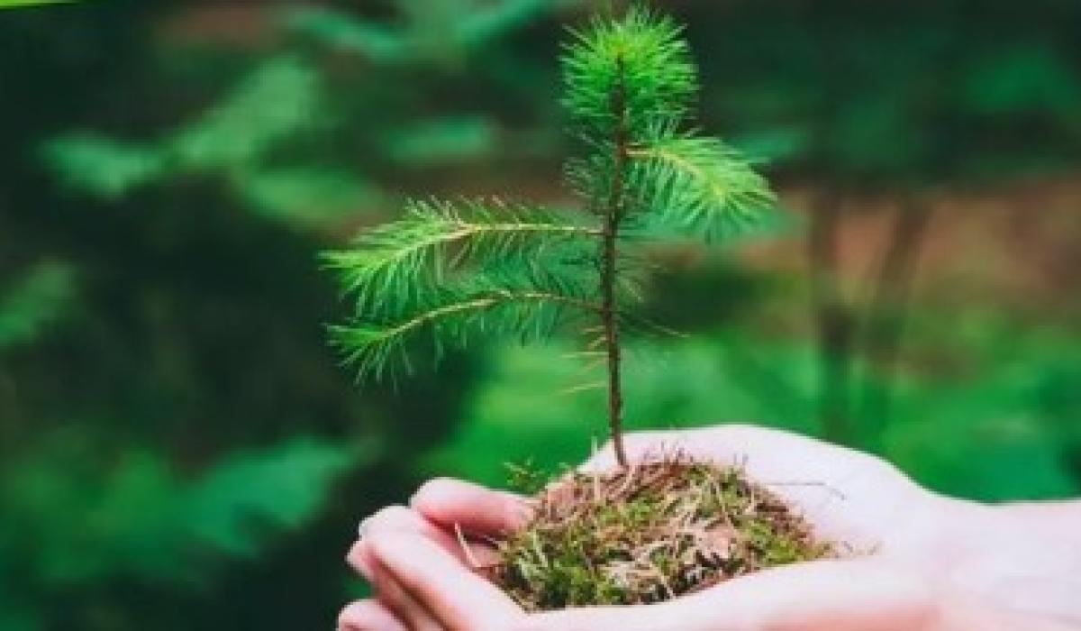 Kildare County Council launches Climate Innovation Fund for 2023