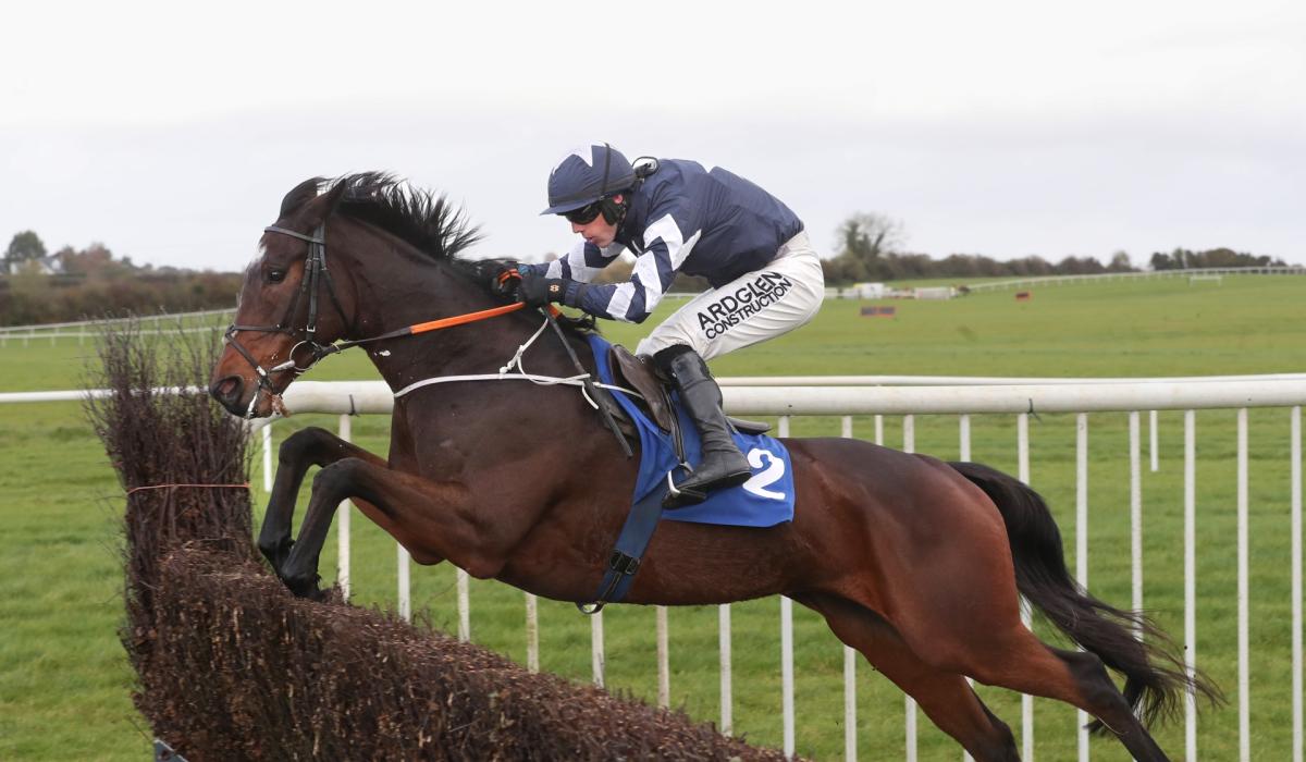 Top week for Tipperary jockeys and trainers with success across the country Ireland Live