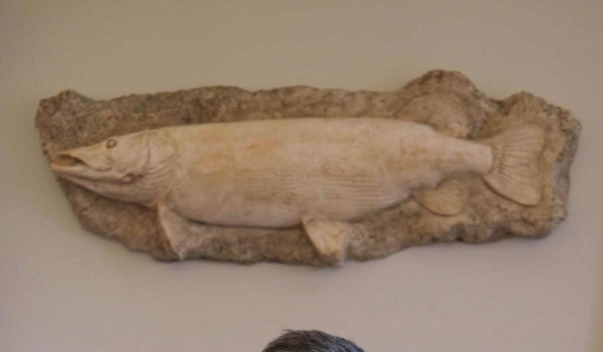 Ted Hughes talk: British Poet Laureate #39 s Longford links Ireland Live