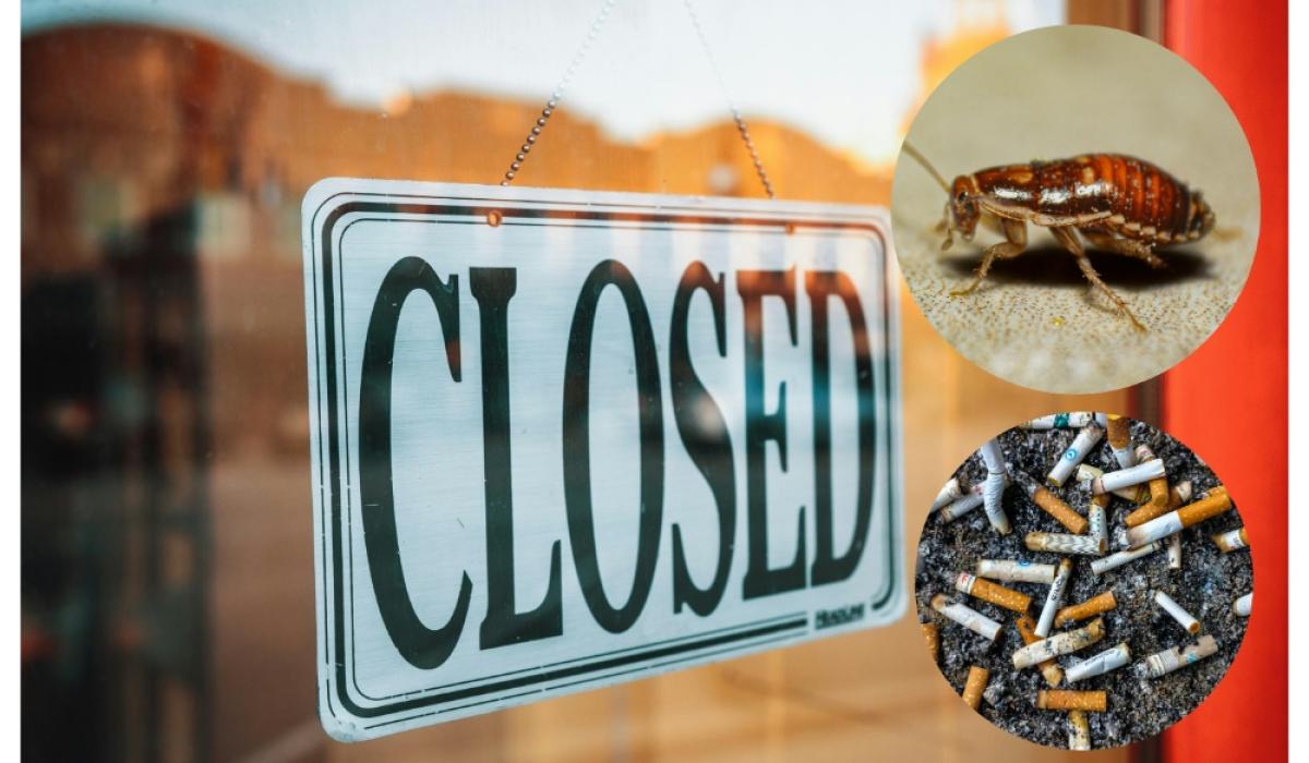 'Live cockroaches, filthy kitchens' - 14 food businesses in Ireland forced to close in November