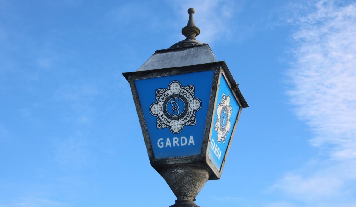Elderly woman in critical condition following horror crash as Gardaí appeal for witnesses