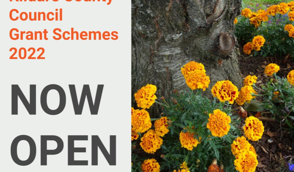 Kildare County Council announce details of Community Grants for 2022