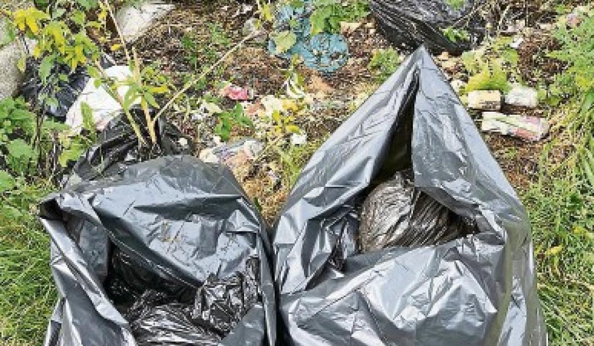Anger as 'truckfull' of rubbish is dumped over bridge in Limerick