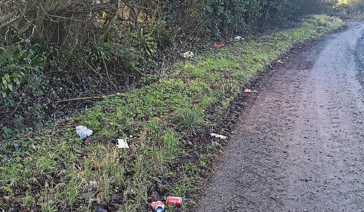Litter pickers can't go near 'shocking' road in Kilkenny Ireland Live